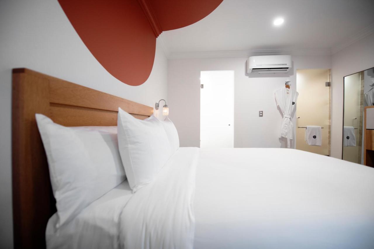 Hotel Mx Condesa 墨西哥城 外观 照片
