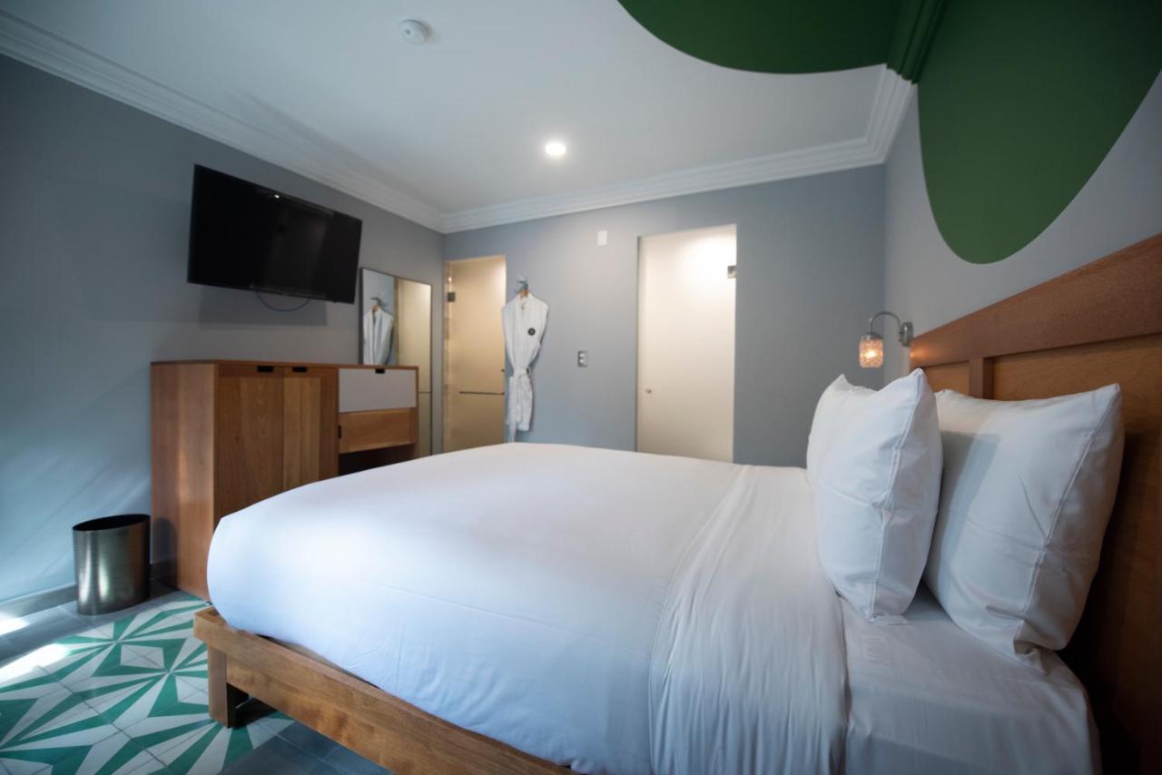 Hotel Mx Condesa 墨西哥城 外观 照片